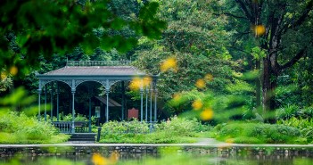 Les Jardins Botaniques de Singapour