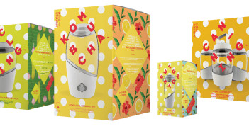 La fermentation maison par Mortier Pilon