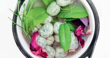 BOUDIN Z’HABITANTS AU LAMBI