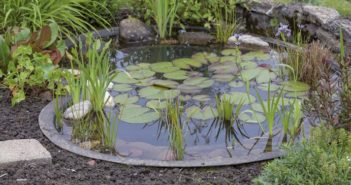 Aménager un bassin extérieur