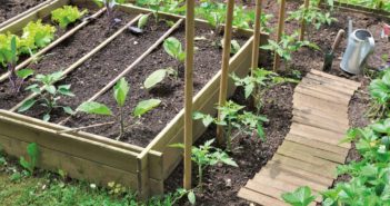 Réaliser un potager en carrés