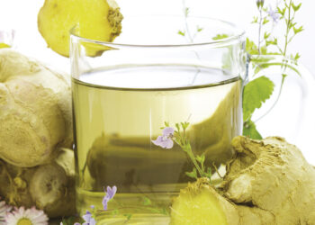 DÉTOX C’EST LE MOMENT DE SE PRÉPARER POUR LES FÊTES