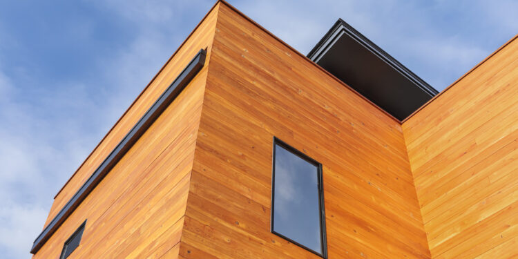 LE BOIS DANS LA CONSTRUCTION : UNE RESSOURCE ÉCOLOGIQUE