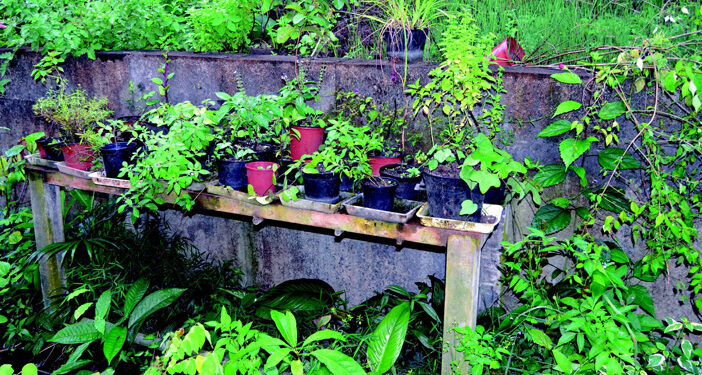 IL FAUT CULTIVER SON JARDIN