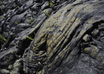 LE VOLCAN AU COEUR DE LA RÉUNION