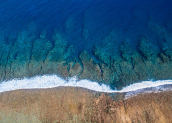 RÉCIFS CORALLIENS, SIÈGE D’UNE BIODIVERSITÉ REMARQUABLE