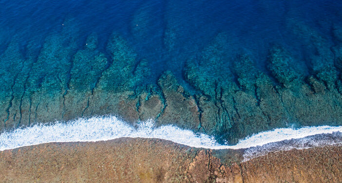 RÉCIFS CORALLIENS, SIÈGE D’UNE BIODIVERSITÉ REMARQUABLE