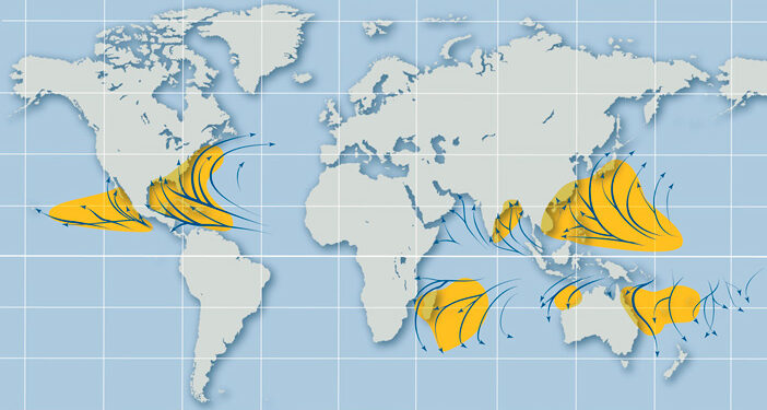 SE PROTÉGER DES CYCLONES