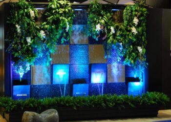 MUR VEGETAL ET MUR D’EAU