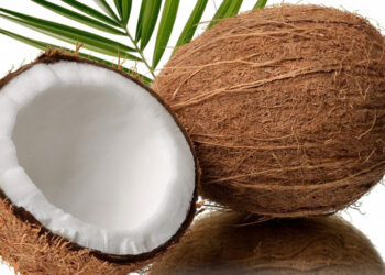 LES BIENFAITS DE L’EAU DE COCO