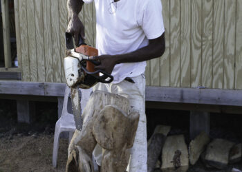 ALEX BOUCAUD, SCULPTEUR À LA TRONÇONNEUSE