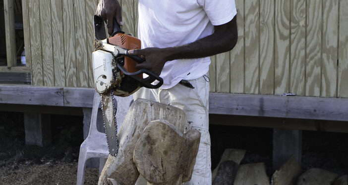 ALEX BOUCAUD, SCULPTEUR À LA TRONÇONNEUSE
