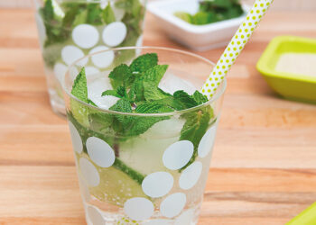 Mojito party… C’est parti pour la fiesta !