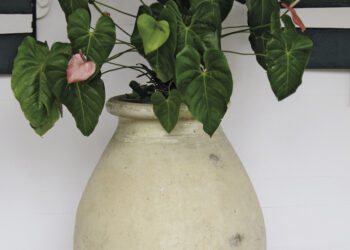 POTERIES & JARRES D’ANTAN