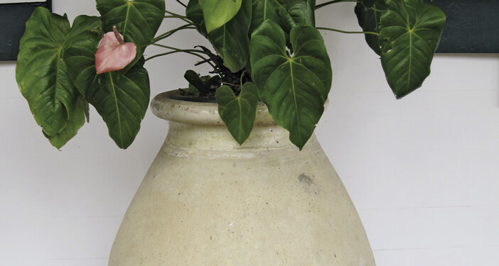 POTERIES & JARRES D’ANTAN