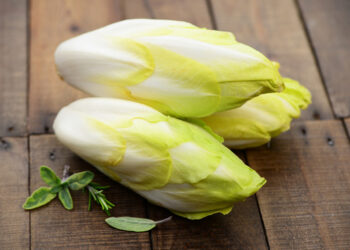 L’endive