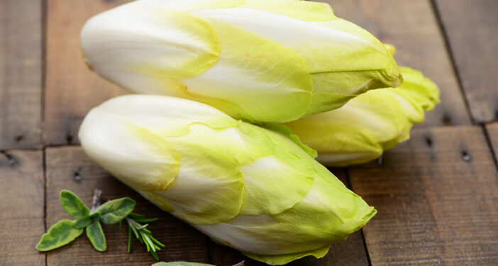 L’endive