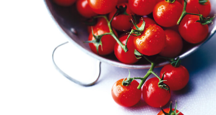 Les tomates… envies de couleurs et de fraîcheur !