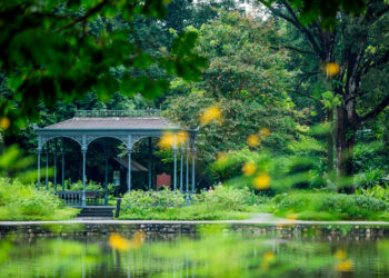 Les Jardins Botaniques de Singapour