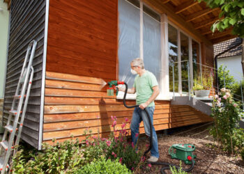 Peindre en toute liberté !