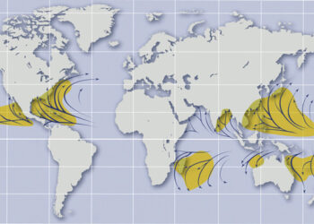 PROTECTION CYCLONIQUE