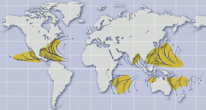 PROTECTION CYCLONIQUE
