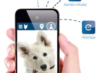 Le collier GPS pour veiller sur son chien !
