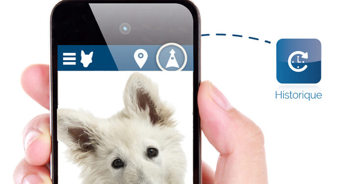 Le collier GPS pour veiller sur son chien !