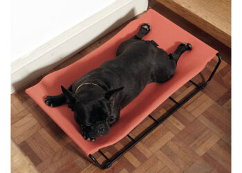 Et si vous offriez un hamac à votre chien ?