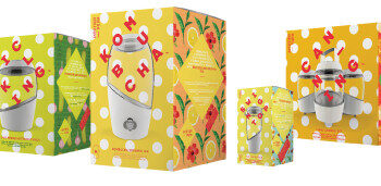 La fermentation maison par Mortier Pilon