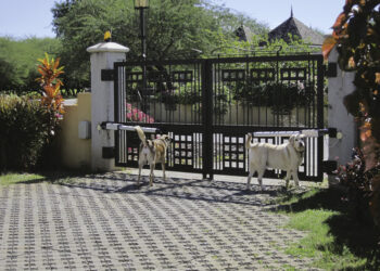 LES PORTAILS, UNE AFFAIRE DE GOÛT