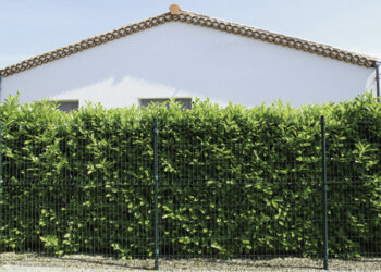 SE PROTÉGER DU VIS-À-VIS