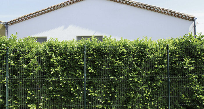 SE PROTÉGER DU VIS-À-VIS