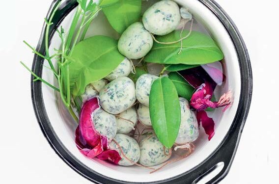 BOUDIN Z’HABITANTS AU LAMBI