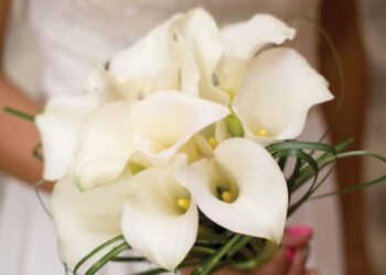 MARIAGE, MODE D’EMPLOI