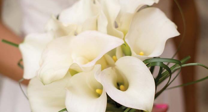 MARIAGE, MODE D&rsquo;EMPLOI