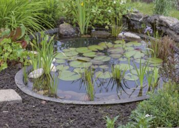 Aménager un bassin extérieur