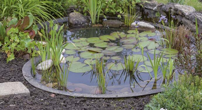 Aménager un bassin extérieur