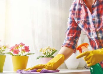 Entretenir sa maison au naturel