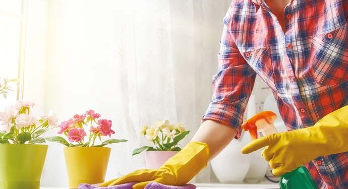 Entretenir sa maison au naturel