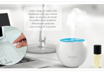 Le nouveau compagnon de bureau