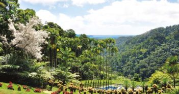 Le Jardin Balata, l’enivrement du vert
