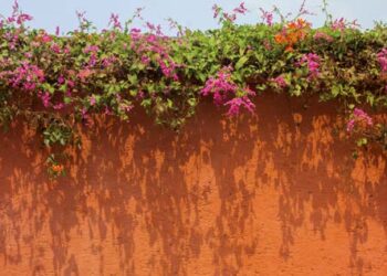 Habiller un mur extérieur, Quelles solutions ?