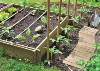 Réaliser un potager en carrés