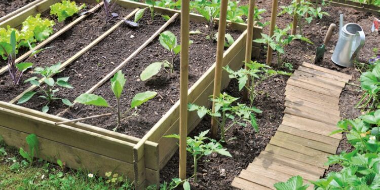 Réaliser un potager en carrés