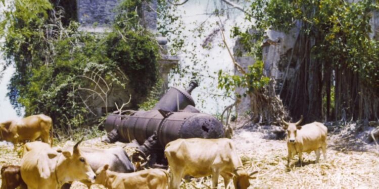 L’Habitation Pirogue