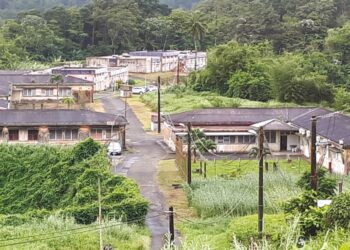 La vie discrète du centre hospitalier de Colson