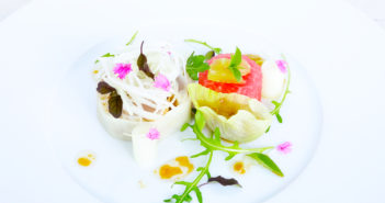 Le Thazard de nos côtes une salade fraîcheur par Thibault Barbafieri (Top Chef)