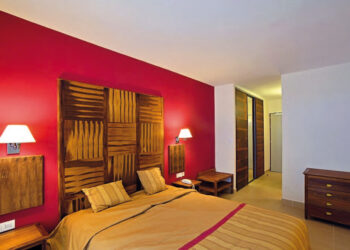 Bien plus qu’une peinture décorative !