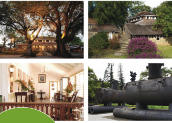 L’habitation Clément, l’art à fleur de canne